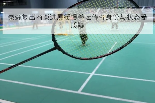 泰森复出商谈进展缓慢拳坛传奇身份与状态受质疑