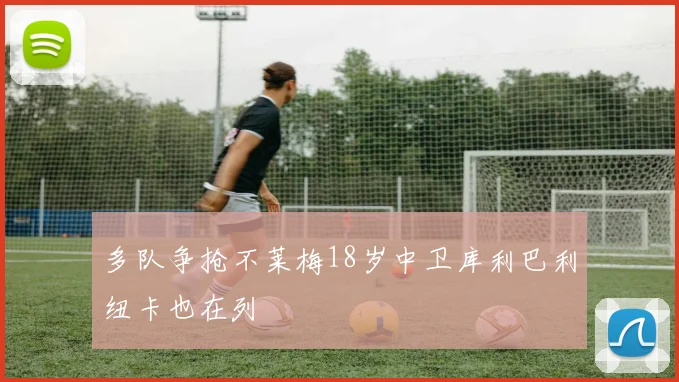 多队争抢不莱梅18岁中卫库利巴利纽卡也在列