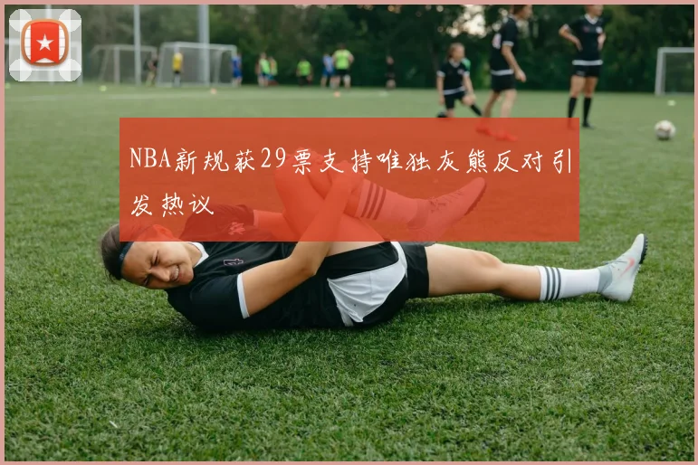 NBA新规获29票支持唯独灰熊反对引发热议
